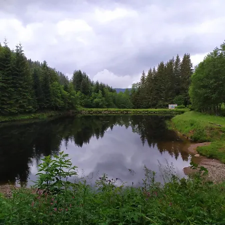 Double Holiday home Gerardmer
