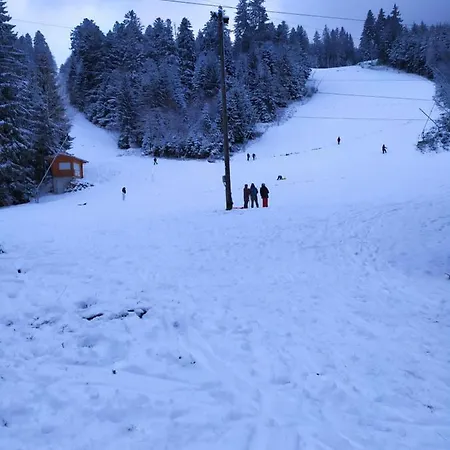 Double Holiday home Gerardmer