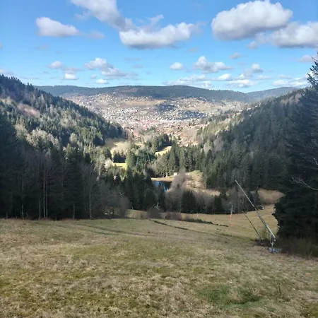 Double Prázdninový dům Gérardmer
