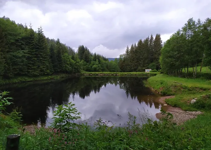 Double Prázdninový dům Gérardmer