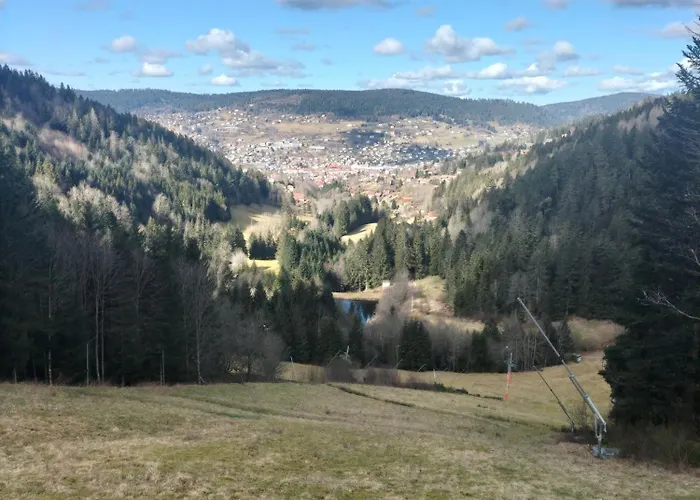 Double Prázdninový dům Gérardmer